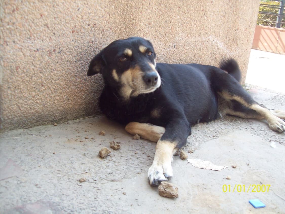 코닥 이지쉐어 Kodak EasyShare C813 실버 상품이미지2