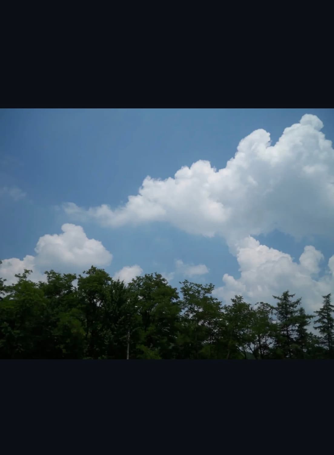 코닥 이지쉐어 m1063 디지털카메라 상품이미지8