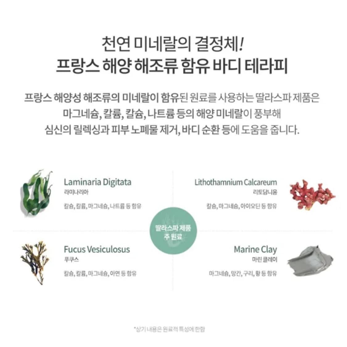 딸라스파 자스민 슈가&솔트 바디 스크럽 500g 상품이미지6