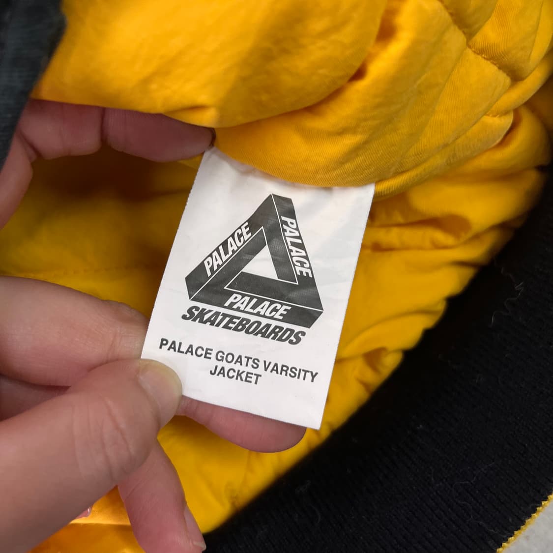 105 팔라스 22ss 고트 바시티 자켓 상품이미지8