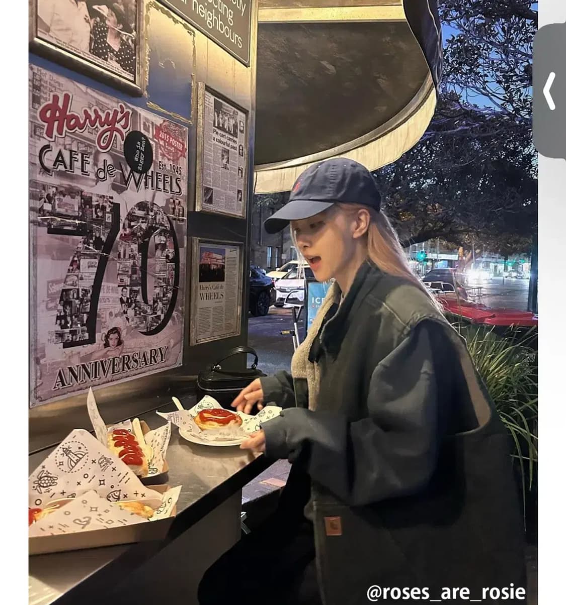 (M)칼하트 셰르파 넥 조끼베스트 V33 ARG 아미그린 상품이미지10