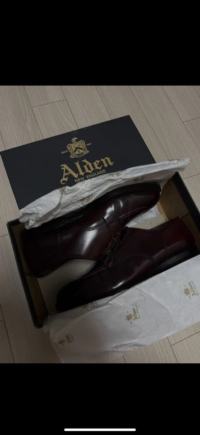 알든 2210 8D 상품이미지4