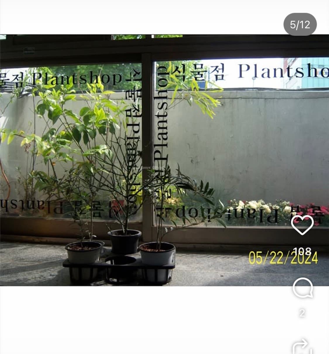 코닥 이지쉐어 v803 실버색상 상품이미지3