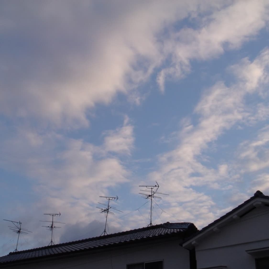 소니 사이버샷 Sony Cyber-shot DSC-T2 화이트 상품이미지2