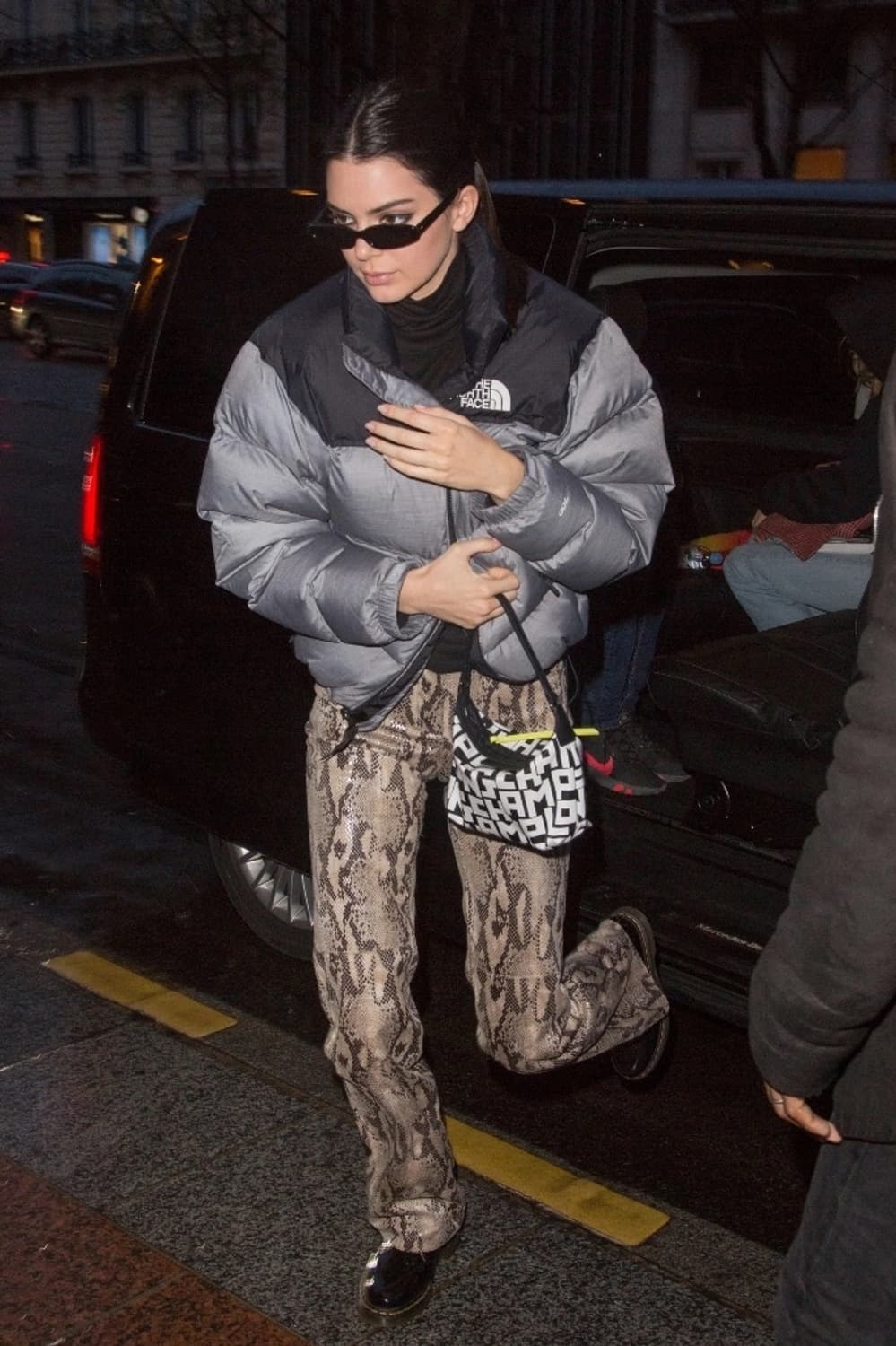 노스페이스 눕시 700 그레이 xs 이동휘 켄달제너 상품이미지1