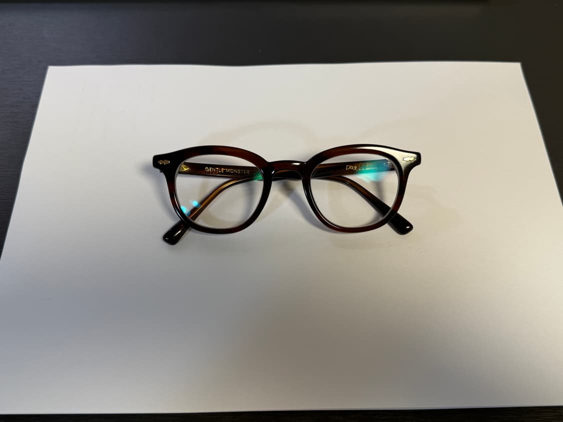 젠틀몬스터 데이 (brown) 상품이미지1