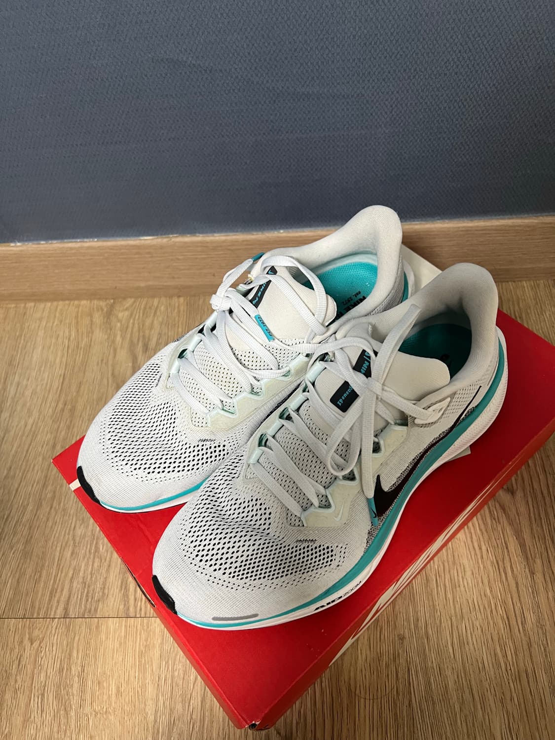 나이키 에어 줌 페가수스 41 런닝화 260 상품이미지2