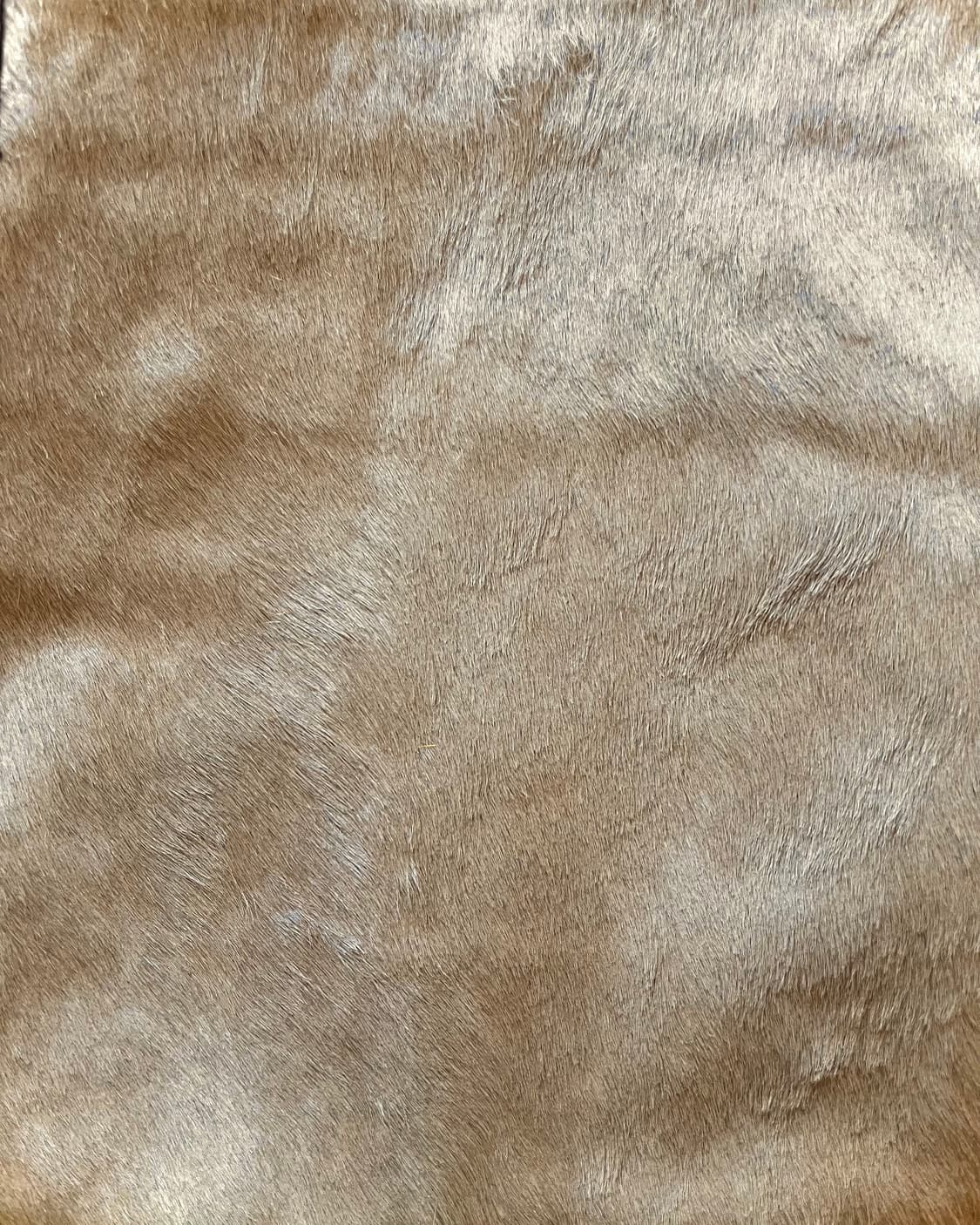 MAURIZIO TAIUTI Italy Real Calf-Skin Bag 상품이미지5