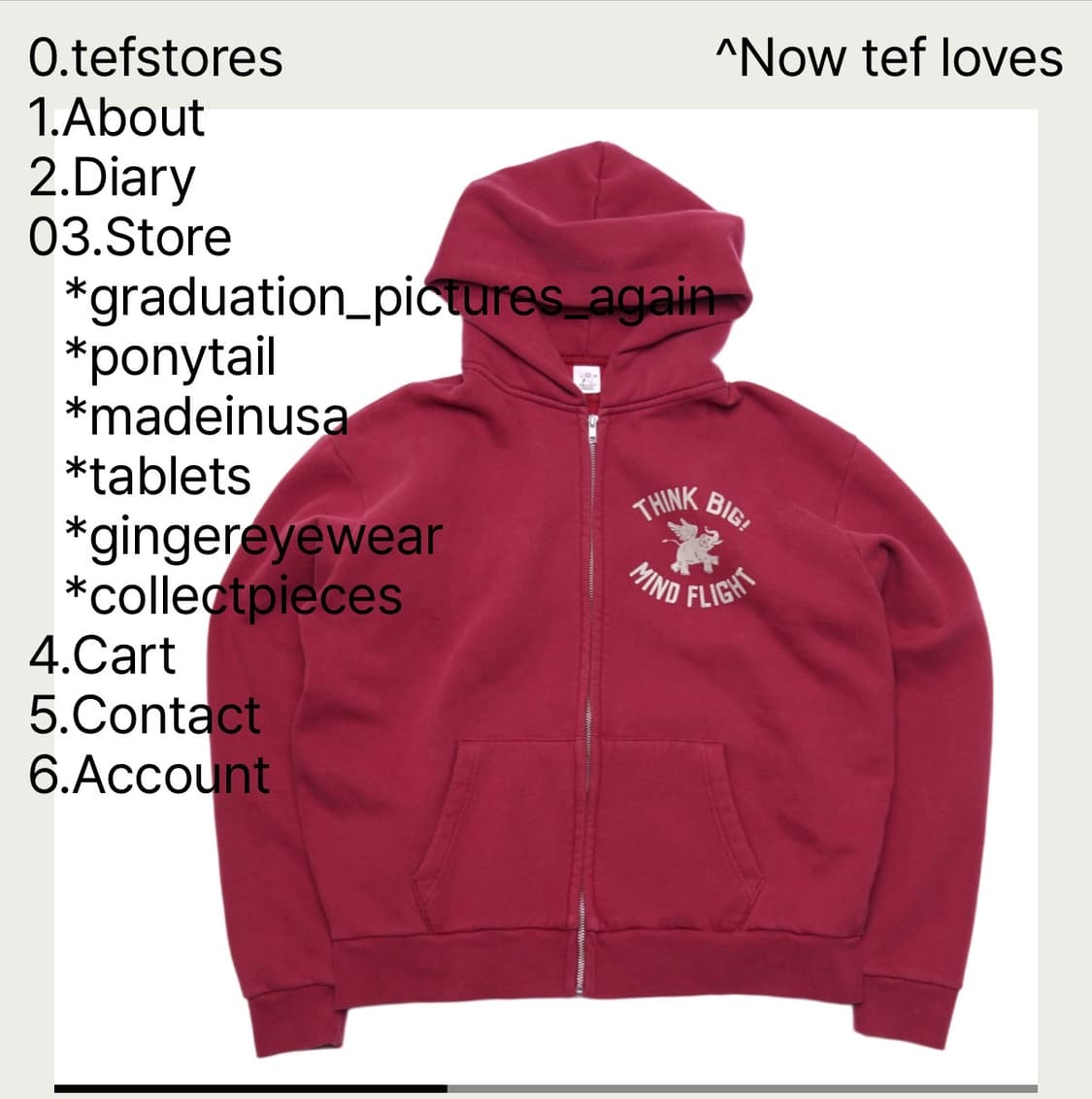 collect pieces x ter stores hoodie 상품이미지2