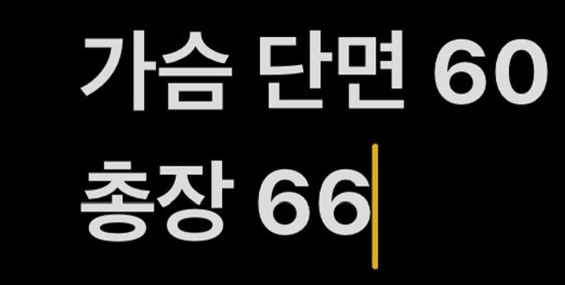[정품] 세터 SATUR 반팔 카라 니트 b10 상품이미지6