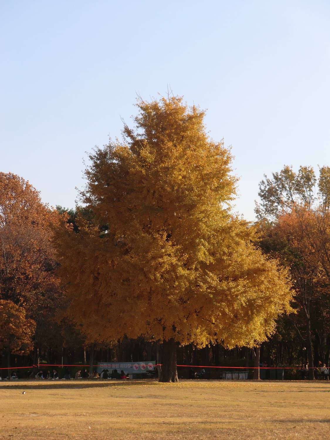 카시오 엑슬림 h15 casio ex h15 실버 상품이미지8