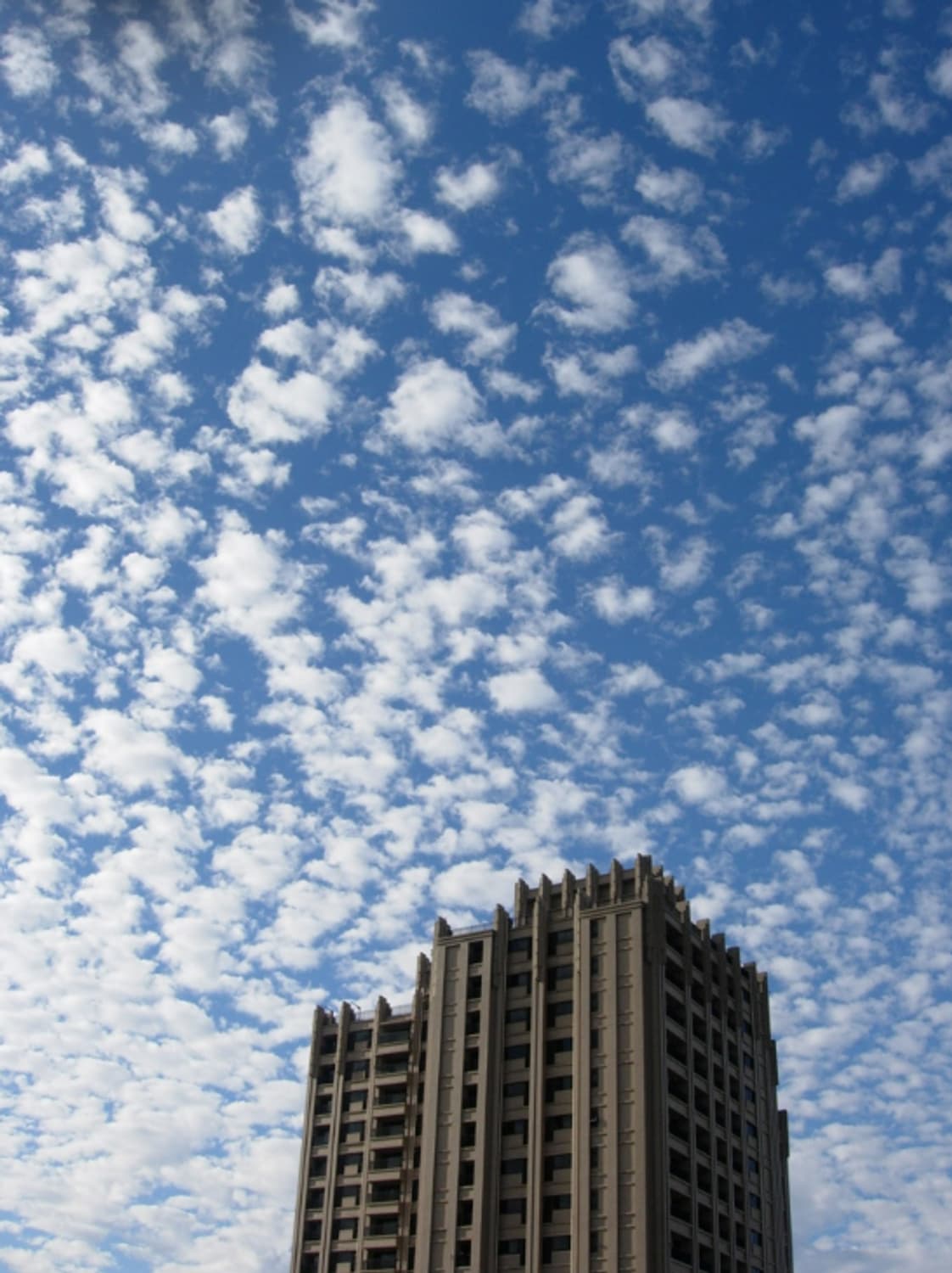 니콘 쿨픽스 5200 레트로 감성 빈티지 디카 상품이미지3