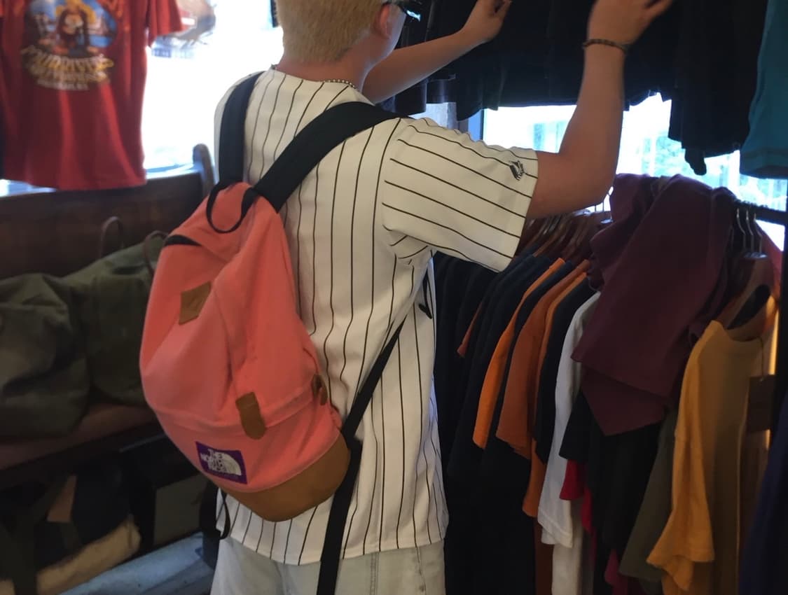 노스페이스 퍼플라벨 데이백 백팩 가방 핑크 PL02 상품이미지2