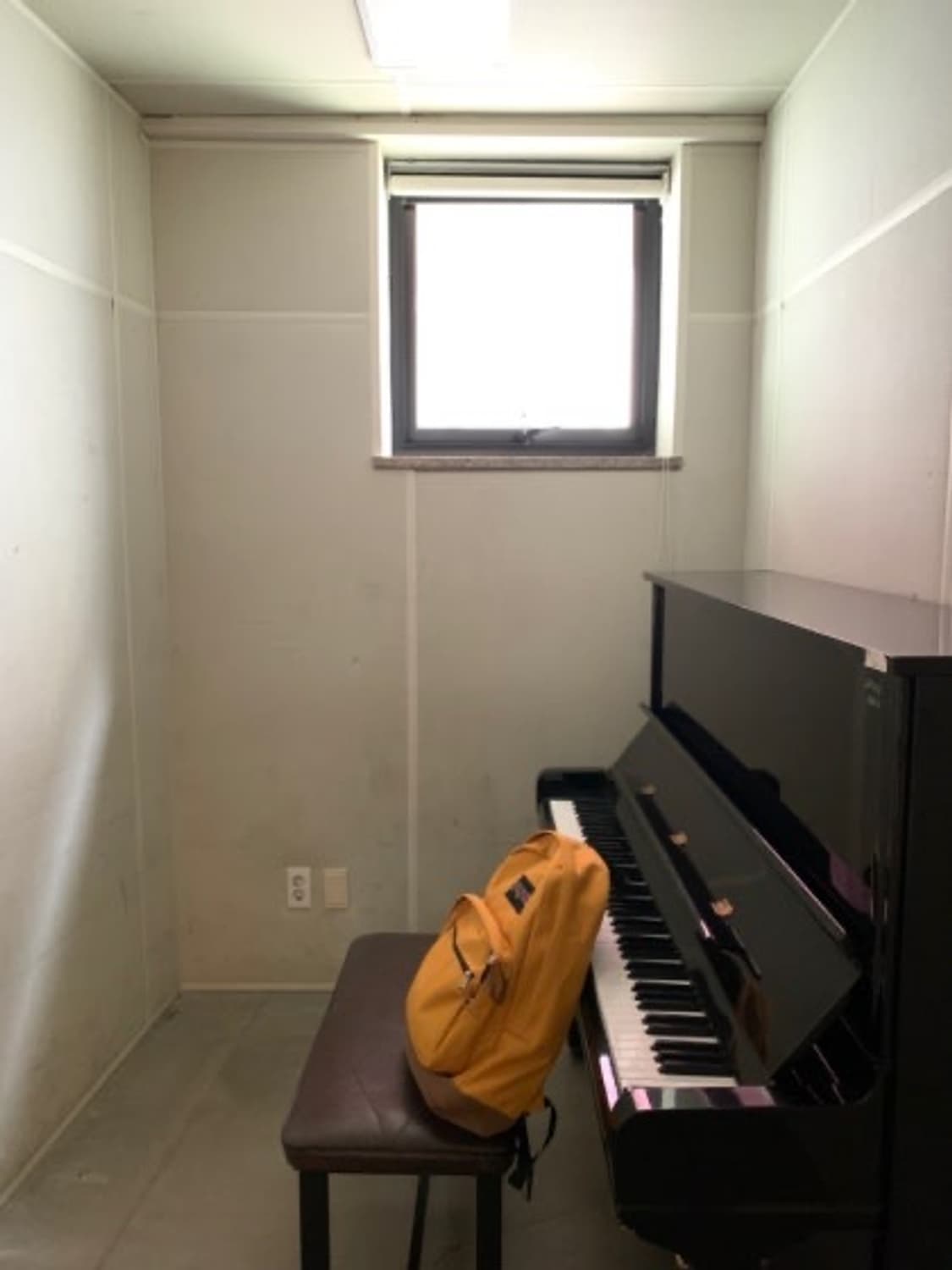 잔스포츠 Jansport 라이트팩 옐로우 머스타드 상품이미지3