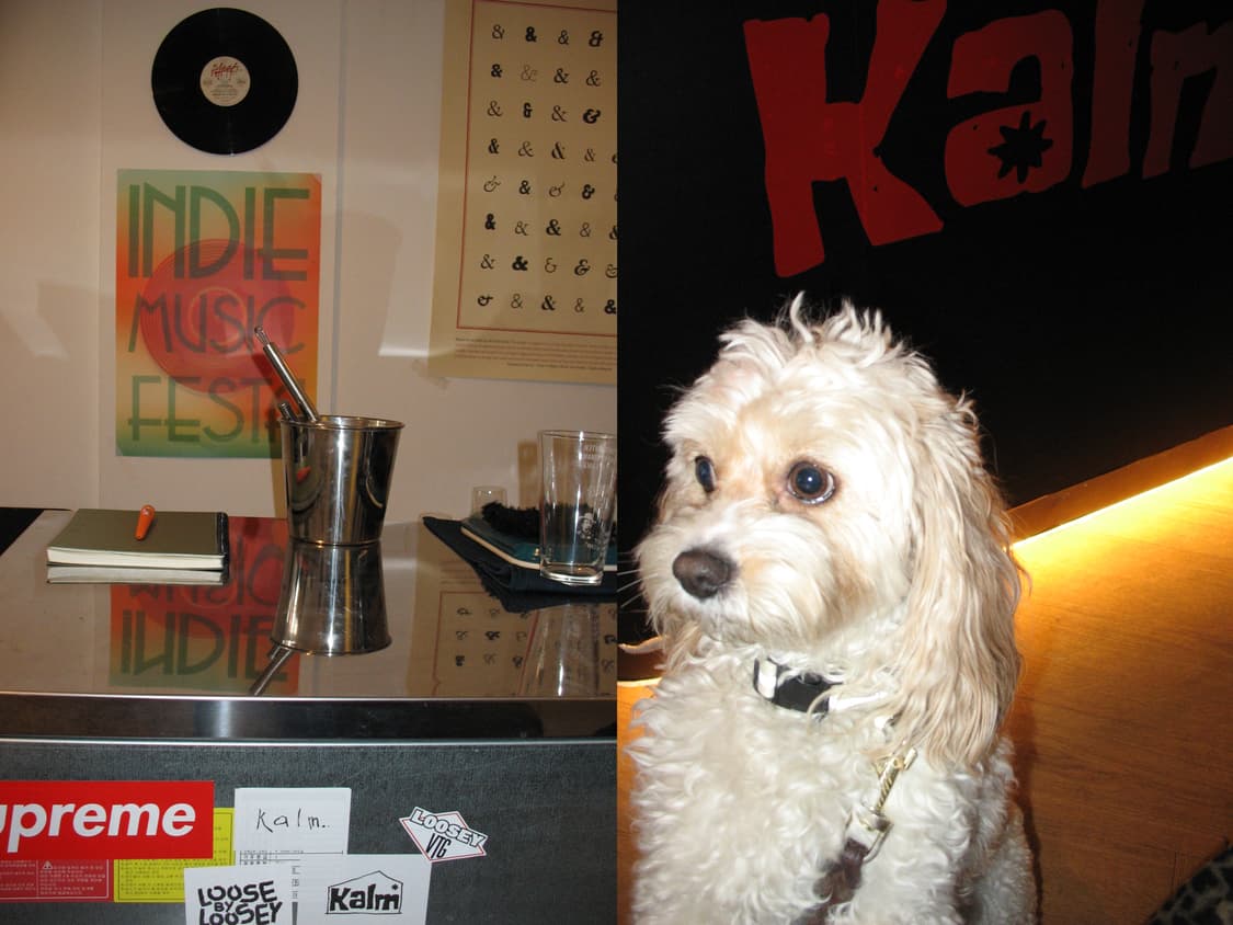 캐논 Canon a610 상품이미지7