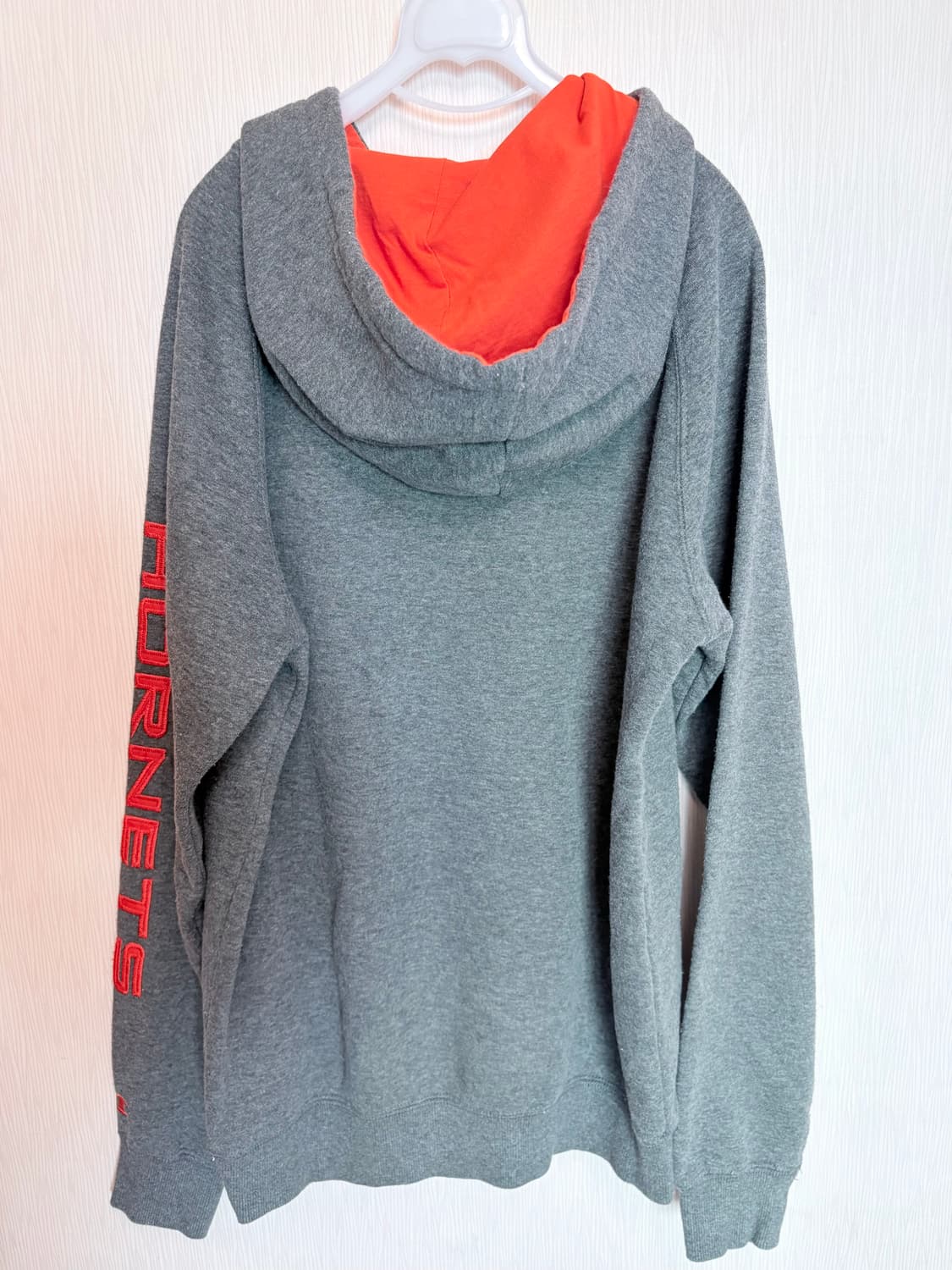 CHAMPION 대학교 말벌후드티🐝 상품이미지2