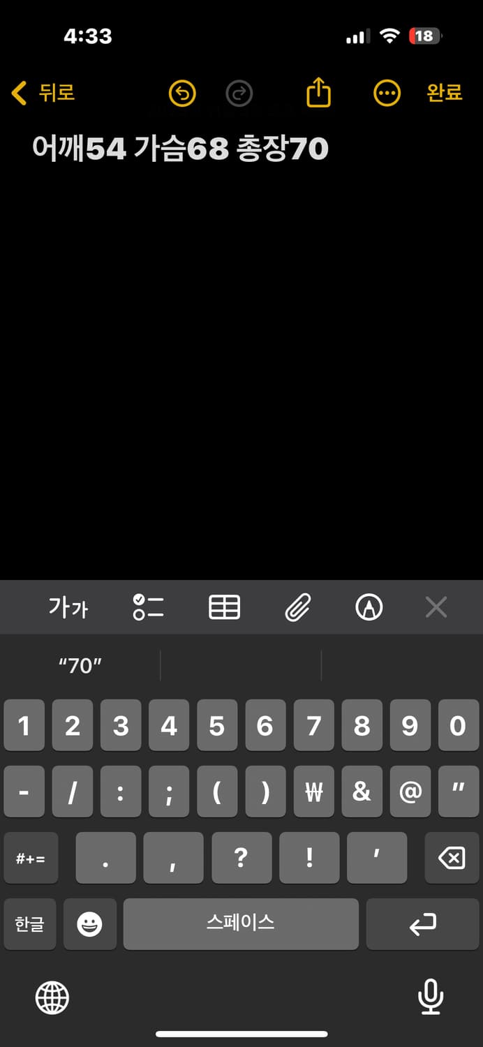 노스페이스 눕시 700 패딩 상품이미지5