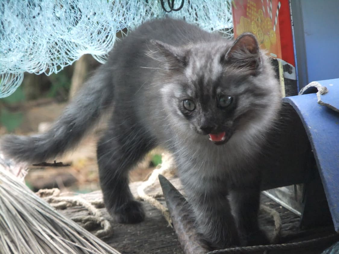 [아일릿원희!] 후지필름 파인픽스 F80exr 디지털카메라 상품이미지9