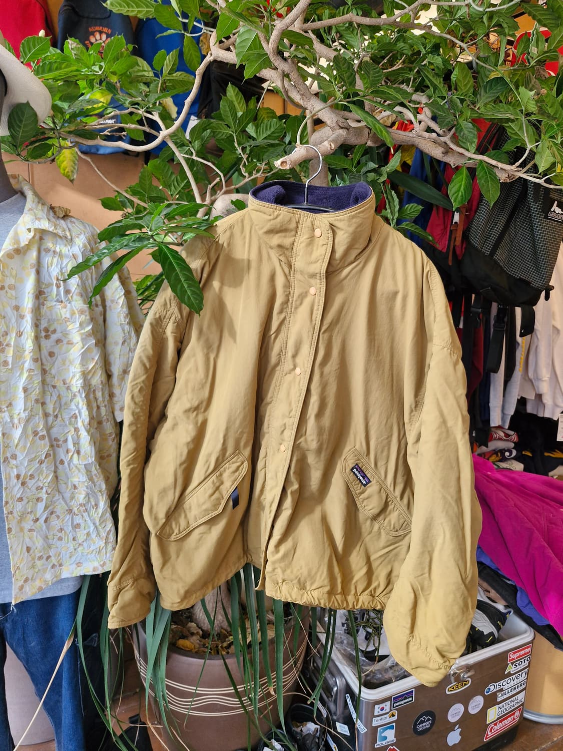 Z-343 Patagonia 캐플린 신칠라 쉘드 봄버 자켓
 상품이미지1