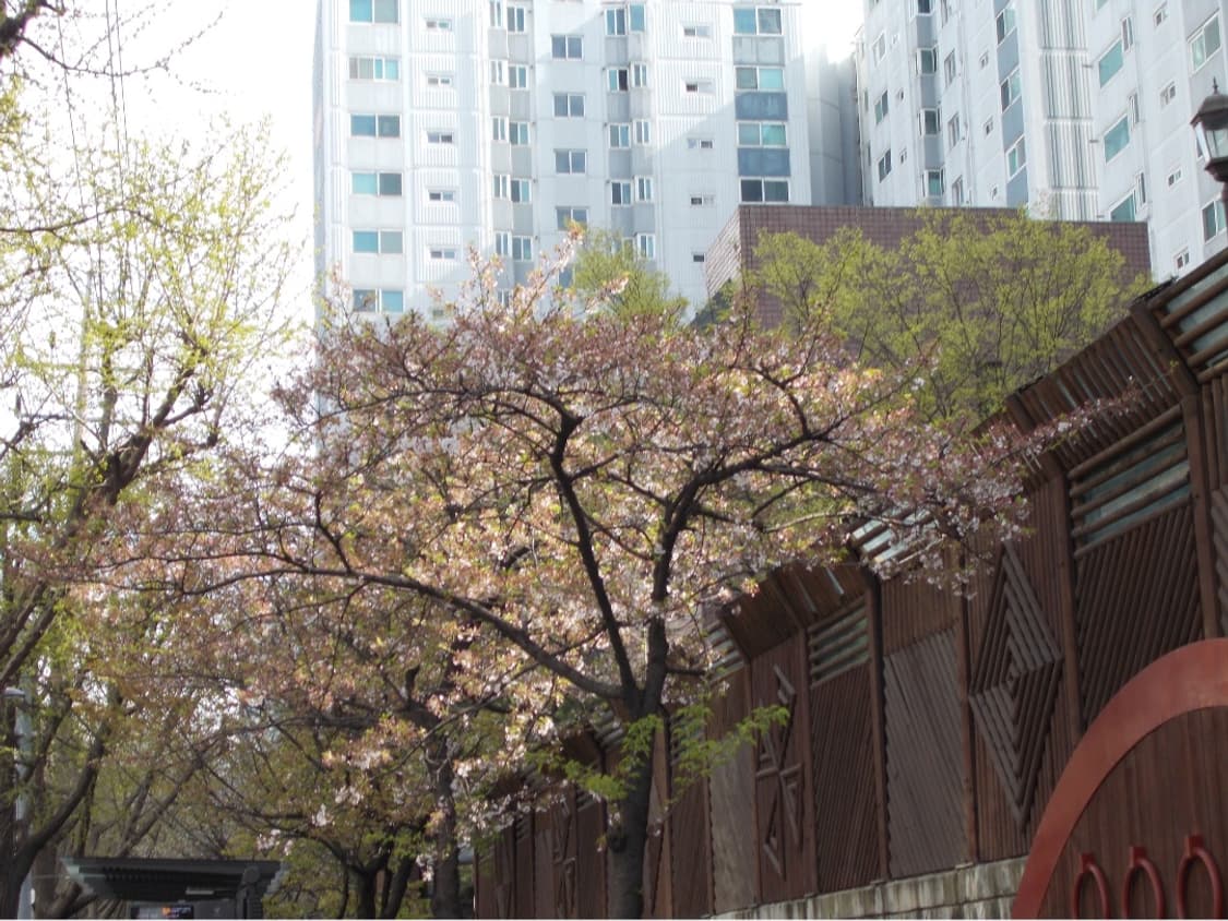 작례O) 니콘 쿨픽스 L26 상품이미지3