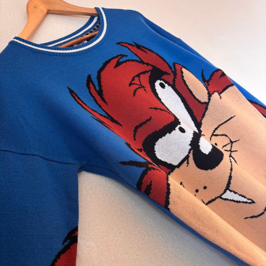 WB 루니툰 M 100 니트 워너브라더스 포에버21  상품이미지3