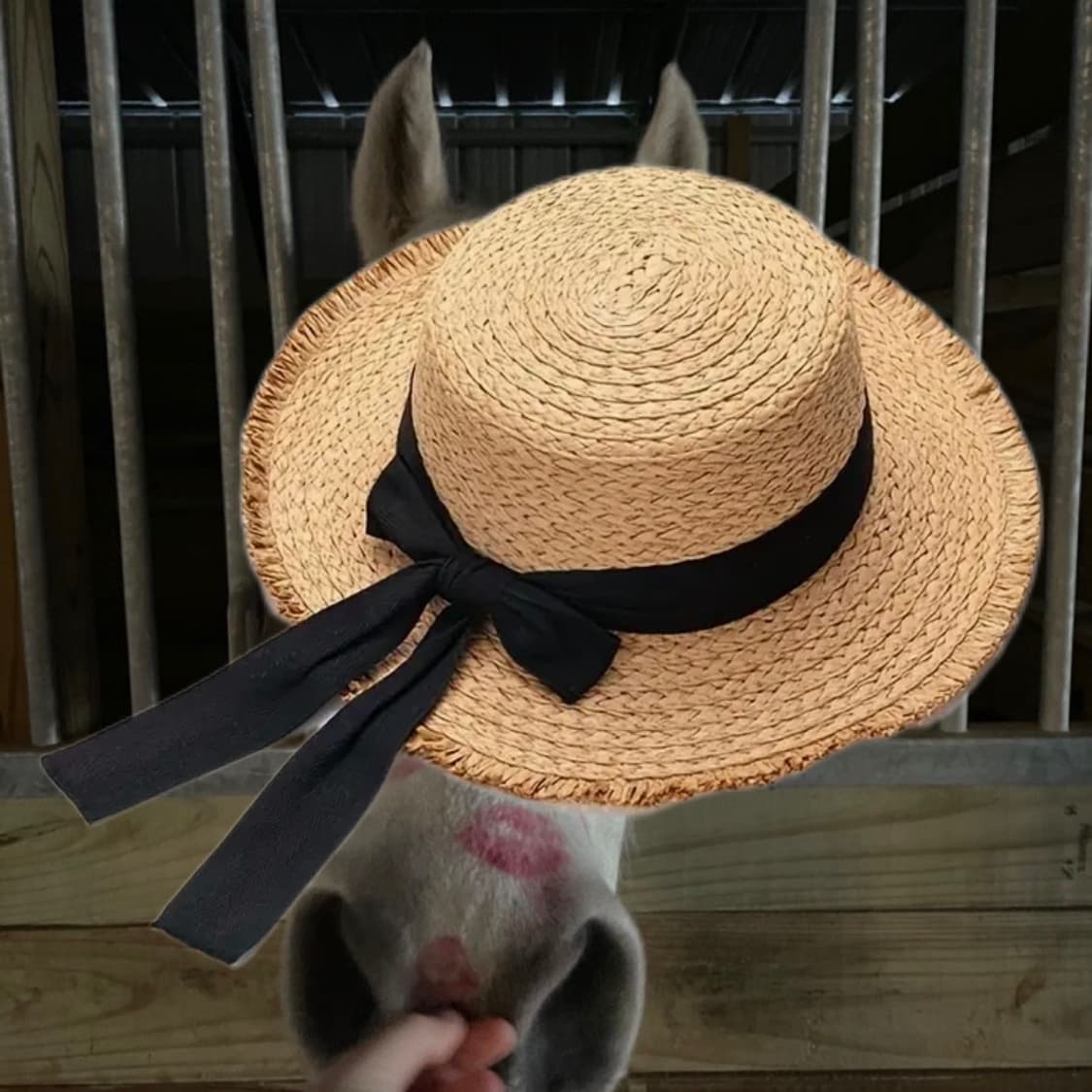 Wide ribbon straw hat 상품이미지1