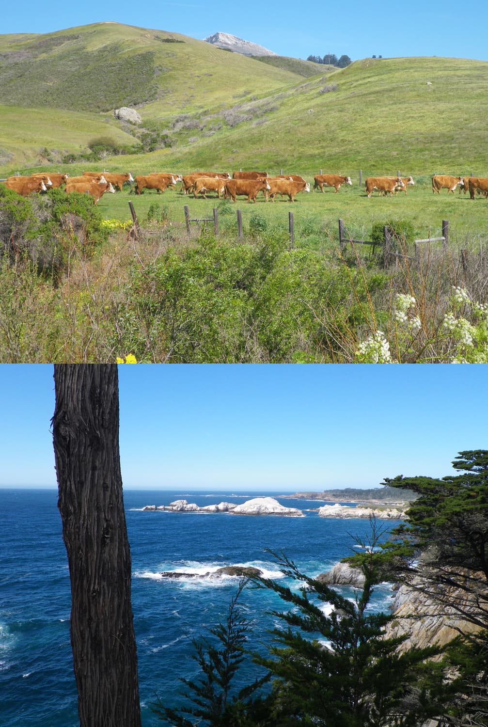 작례있음🍀 펜탁스 옵티오 p80 / Pentax Optio p80 상품이미지2