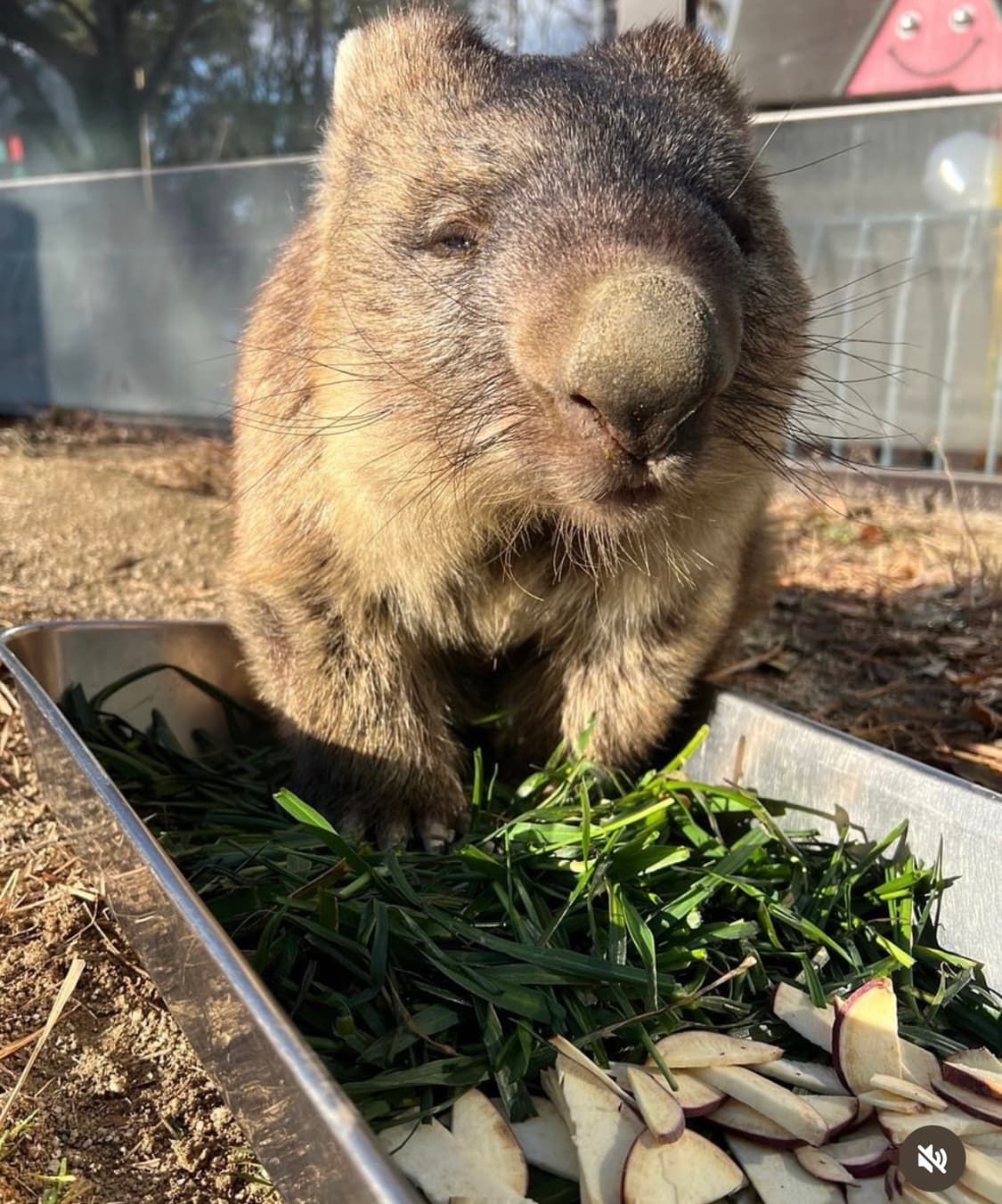 비니 상품이미지1