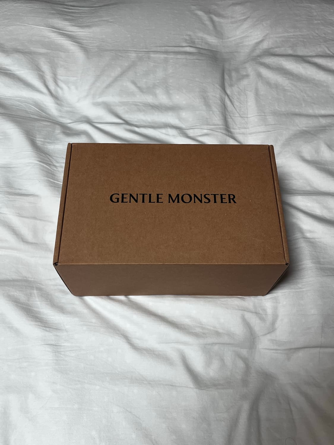 젠틀 몬스터 x 메종 마르지엘라 MM210 상품이미지4