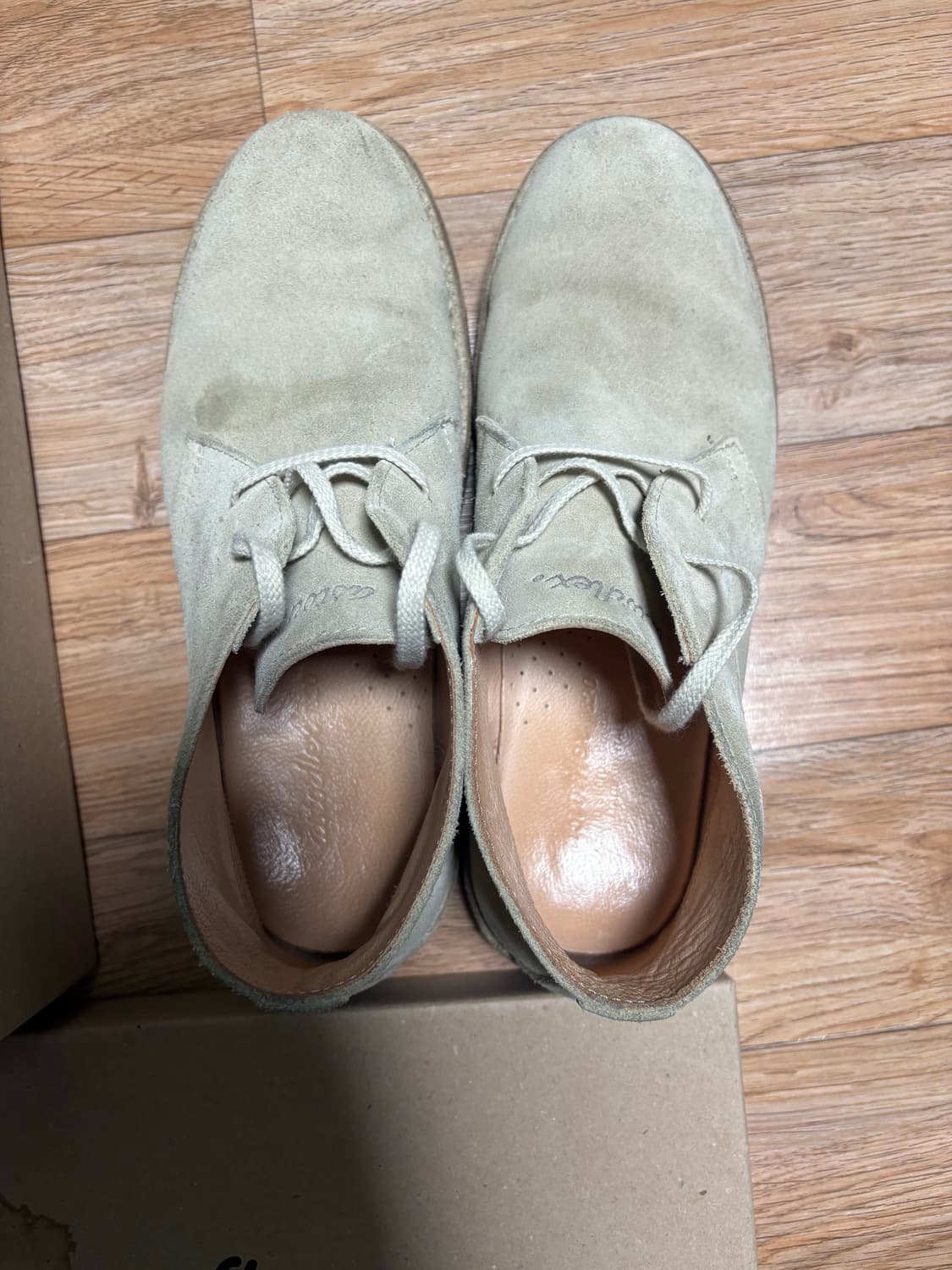 아스토플렉스 그린플렉스 에크루 42 상품이미지6