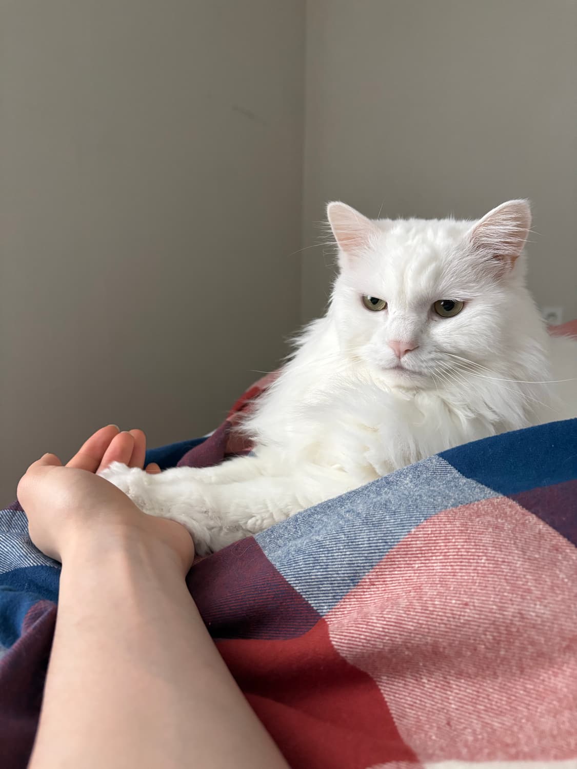 개인 결제창 상품이미지1