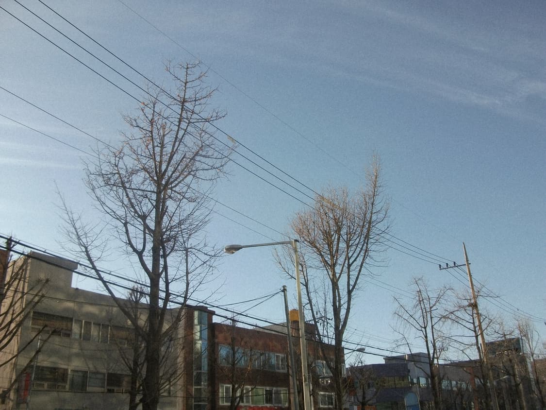 후지필름 A170 디지털카메라 상품이미지9