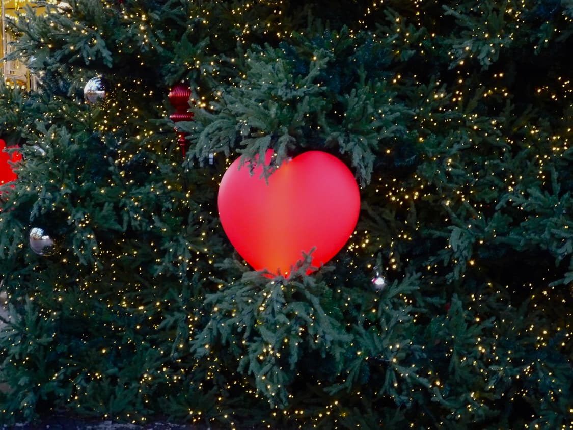 급처) 파나소닉 루믹스 FX-500, 니콘 쿨픽스 S6200 판매 상품이미지3