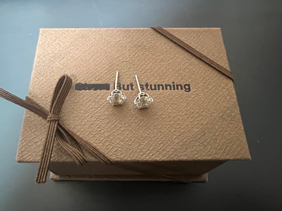 쇼트벗스터닝 쇼트몬트 귀걸이 ver.2 케이스 포함 상품이미지3