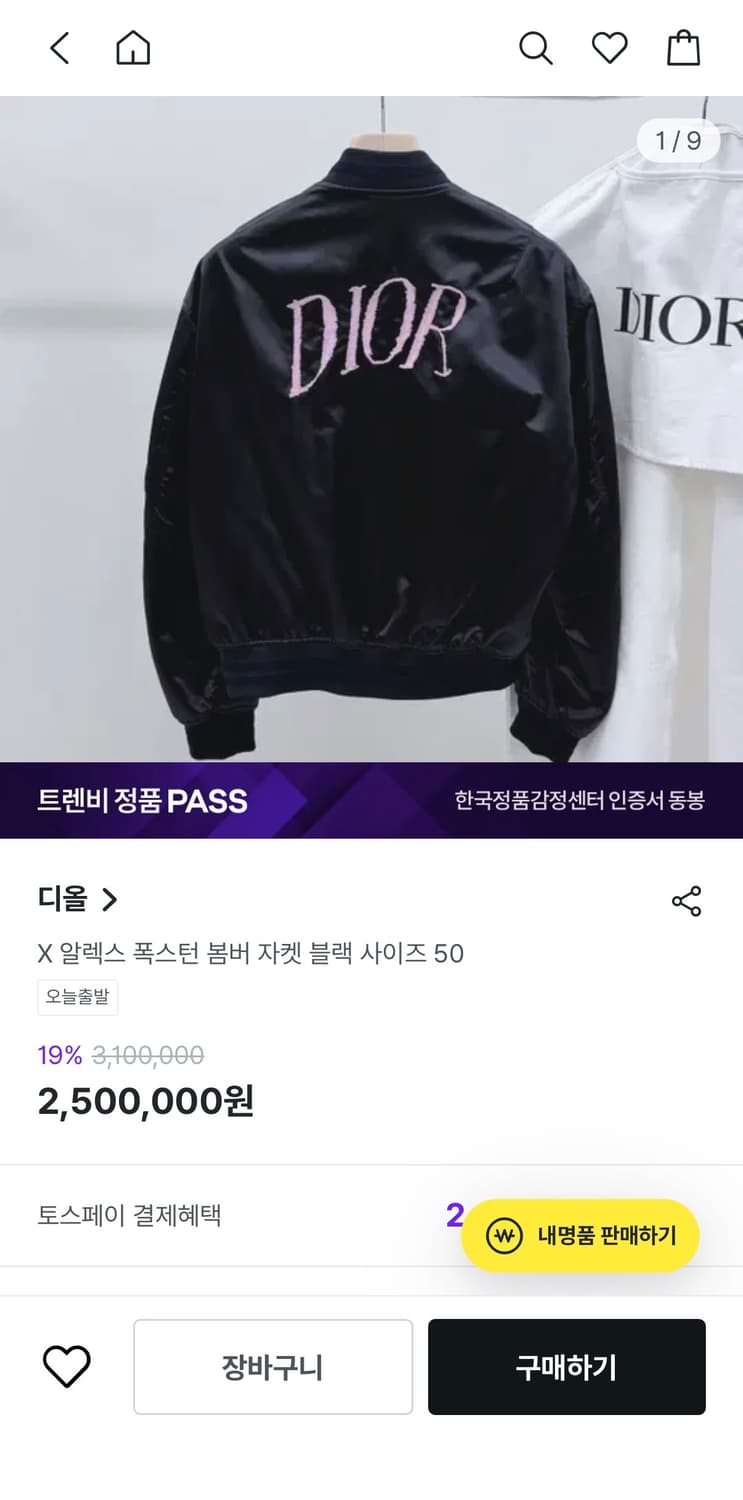 디올 x 알렉스폭스턴 봄버자켓 상품이미지6