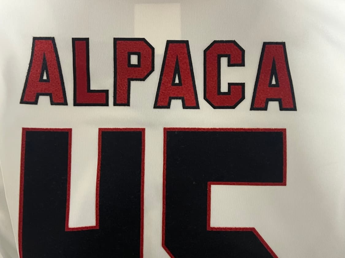 오버 더 피치 티셔츠 상품이미지3