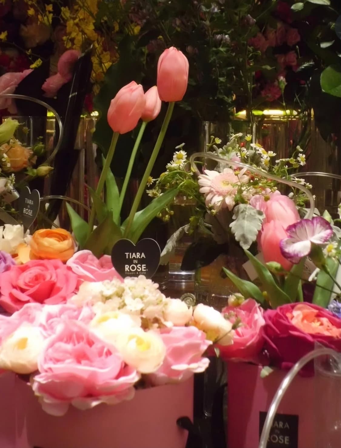 올림푸스 C-2020 Z 💿 클래식 색감 장인 감성디카 상품이미지5