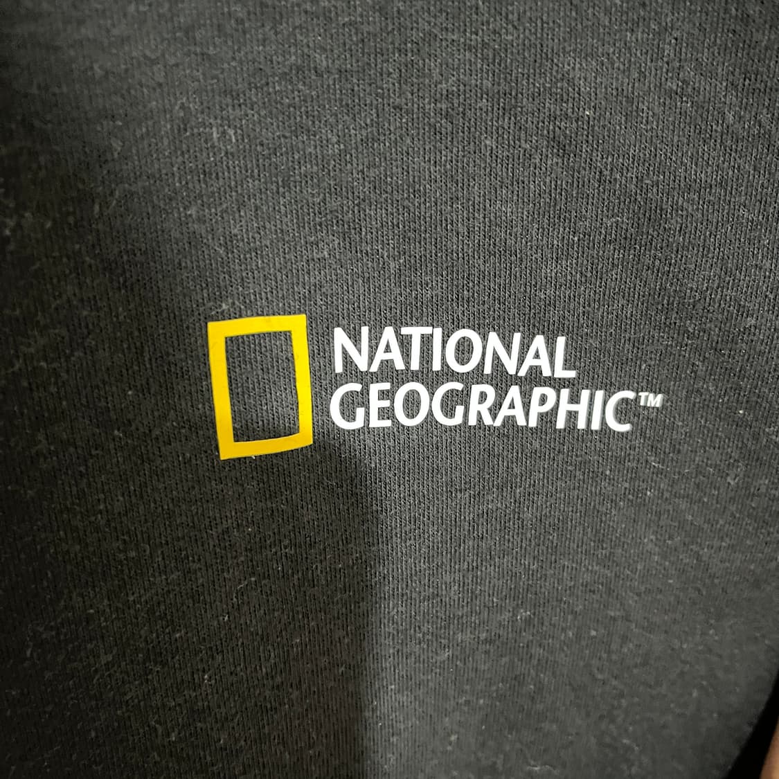 (XXL) 네셔널지오그래픽 톰슨가젤 맨투맨 스웻셔츠 상품이미지4