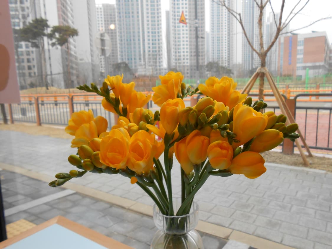 니콘 쿨픽스 S3300 상품이미지8