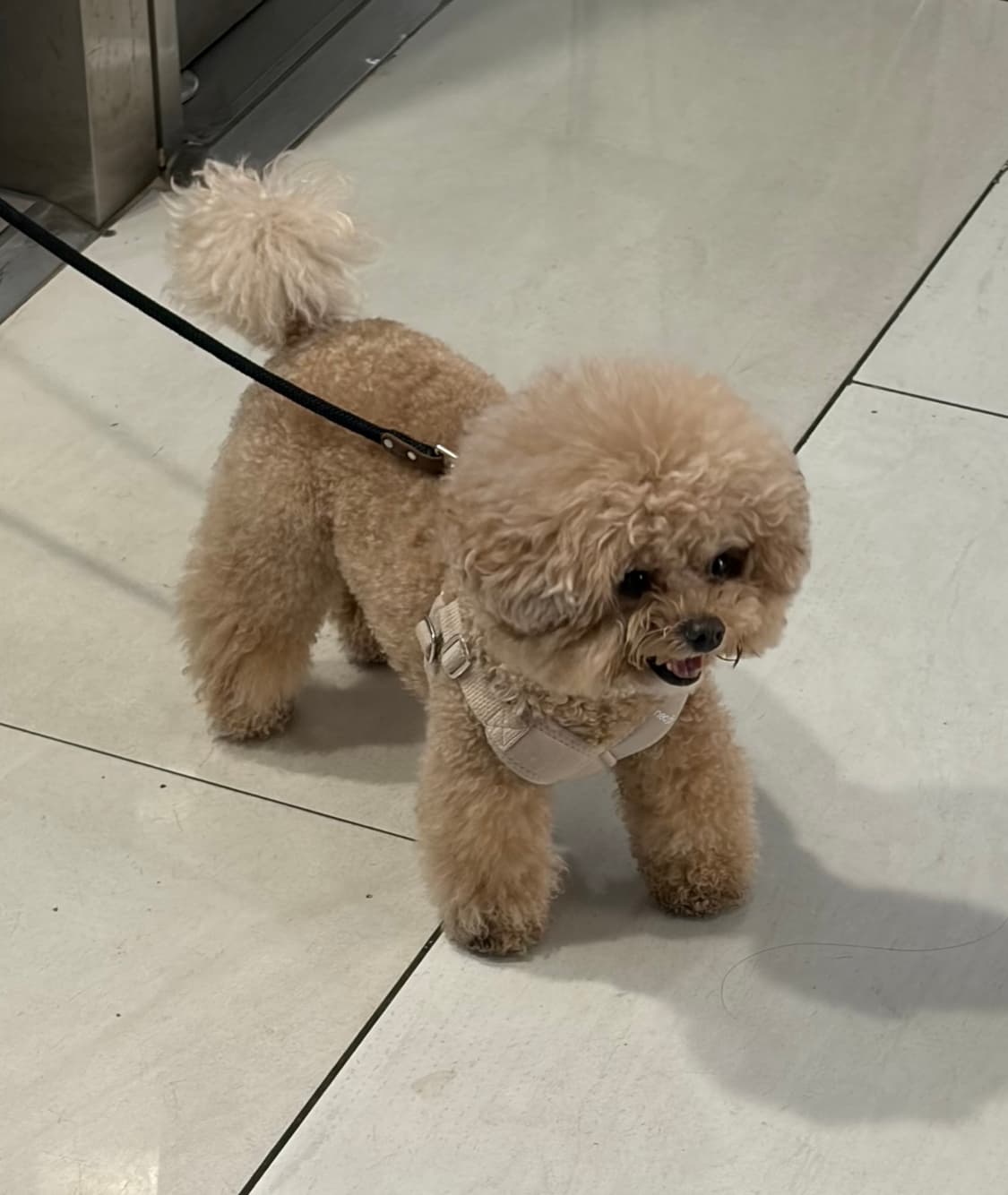 설연휴 할인 상품이미지1