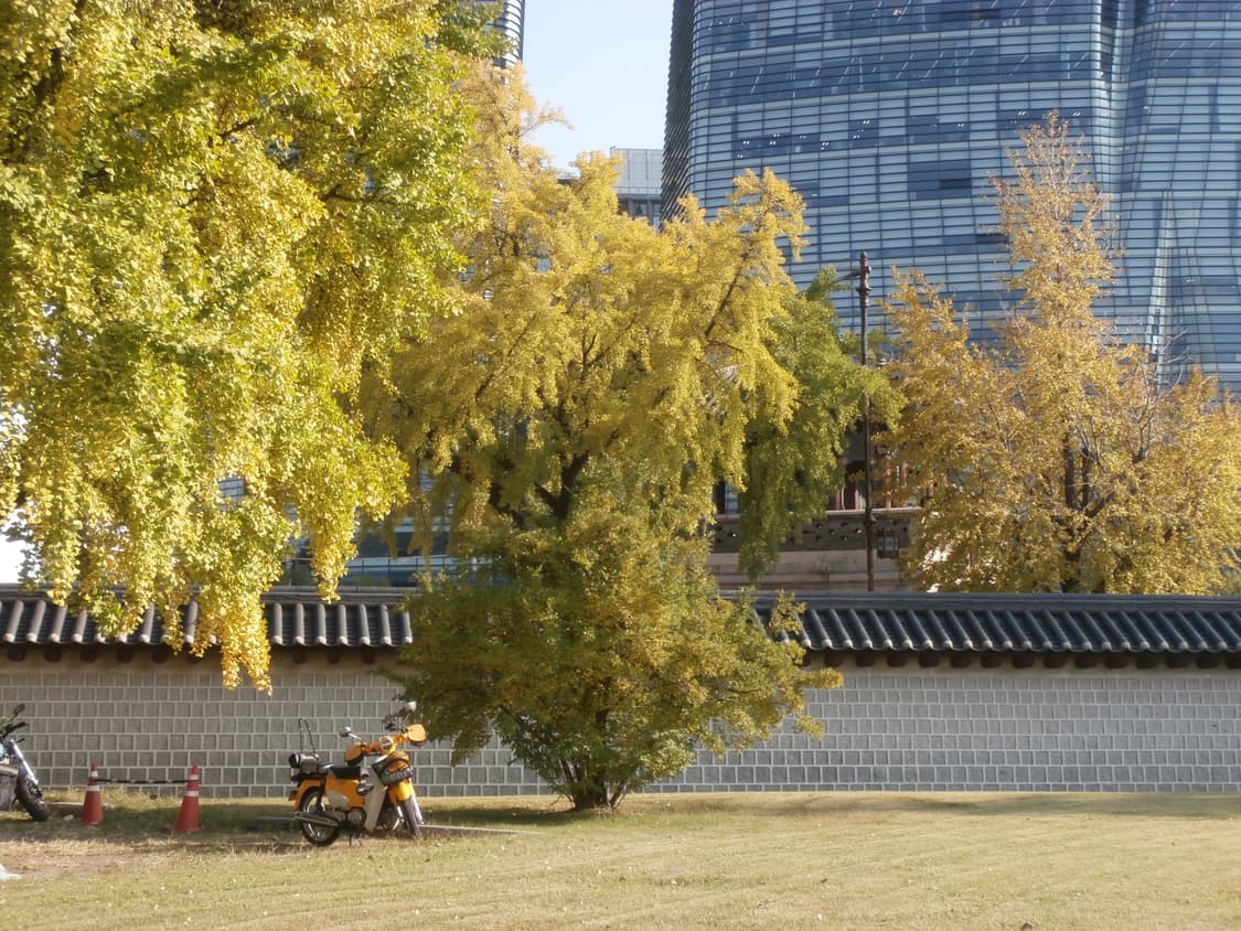 Olympus VR-360 | 올림푸스 빈티지 핑크 디카 상품이미지4