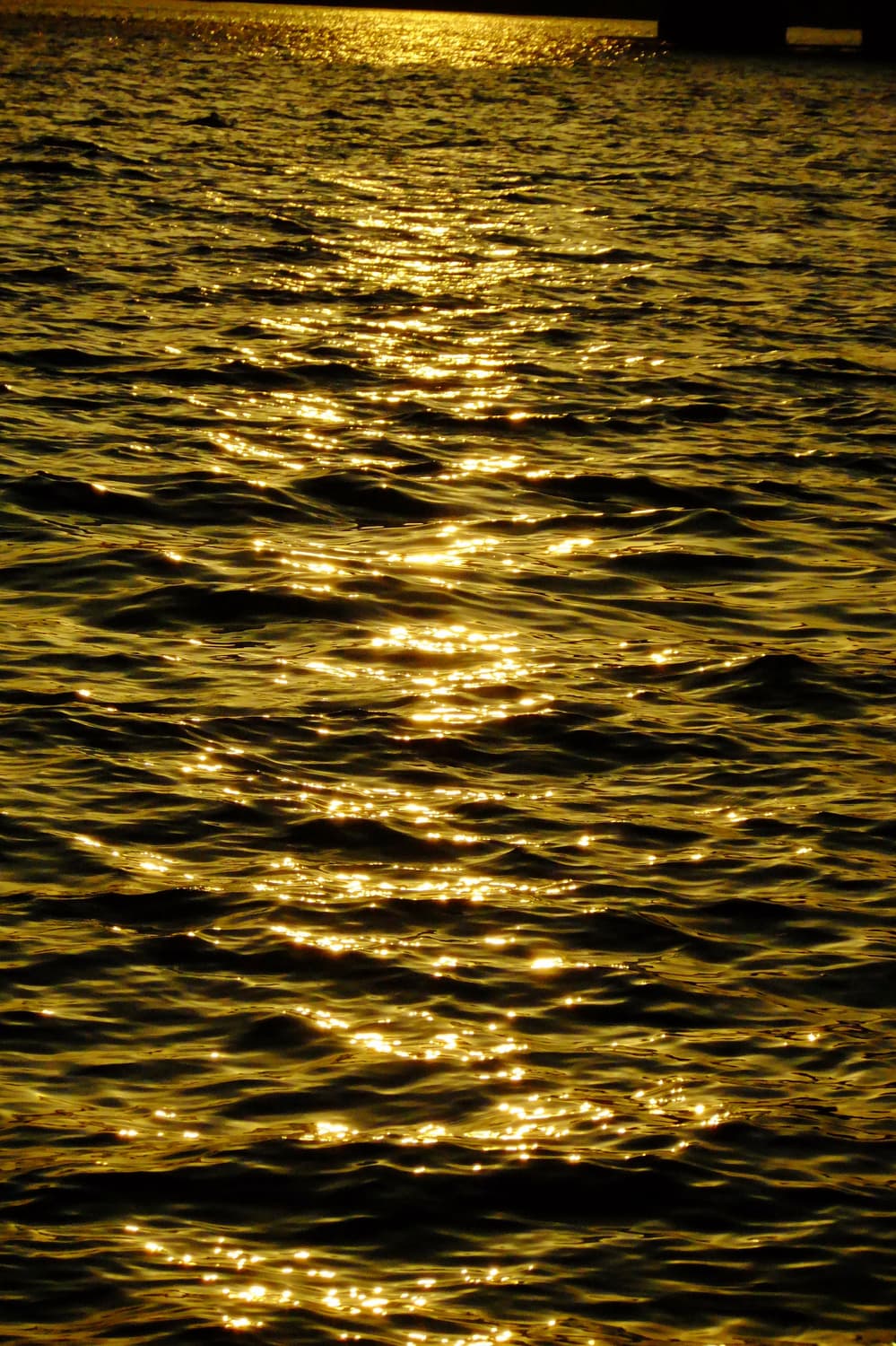 (아일릿 원희디카!)FUJIFILM FINEPIX F80EXR 상품이미지10