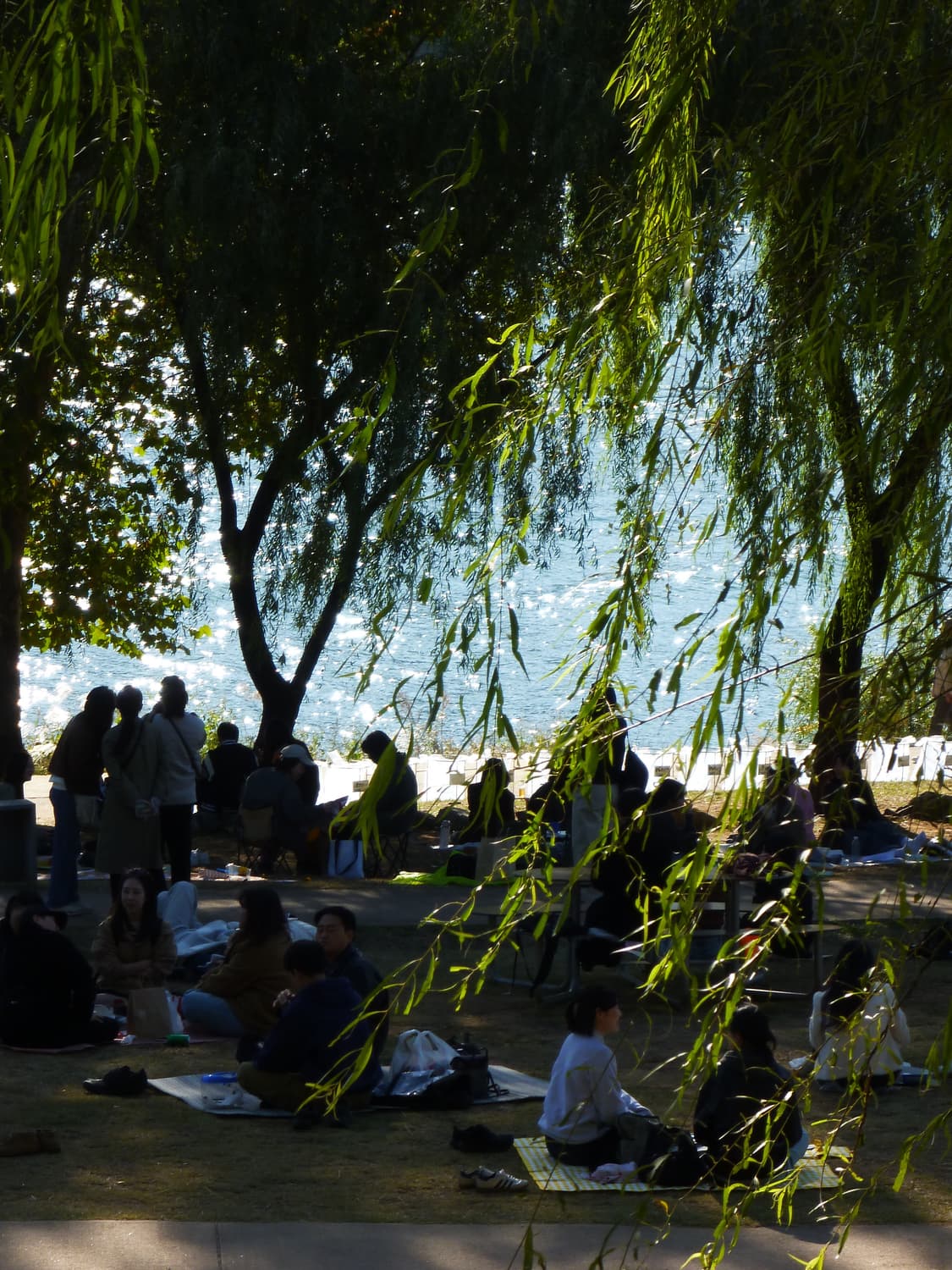 Panasonic Lumix DMC-FX60 핑크 (작례O) 상품이미지8