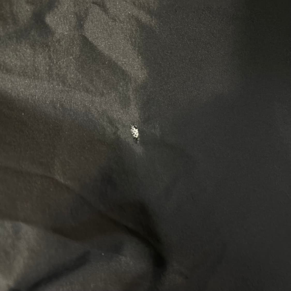 🖤아디다스 화이트 블랙 오레오 바람막이🖤 상품이미지3