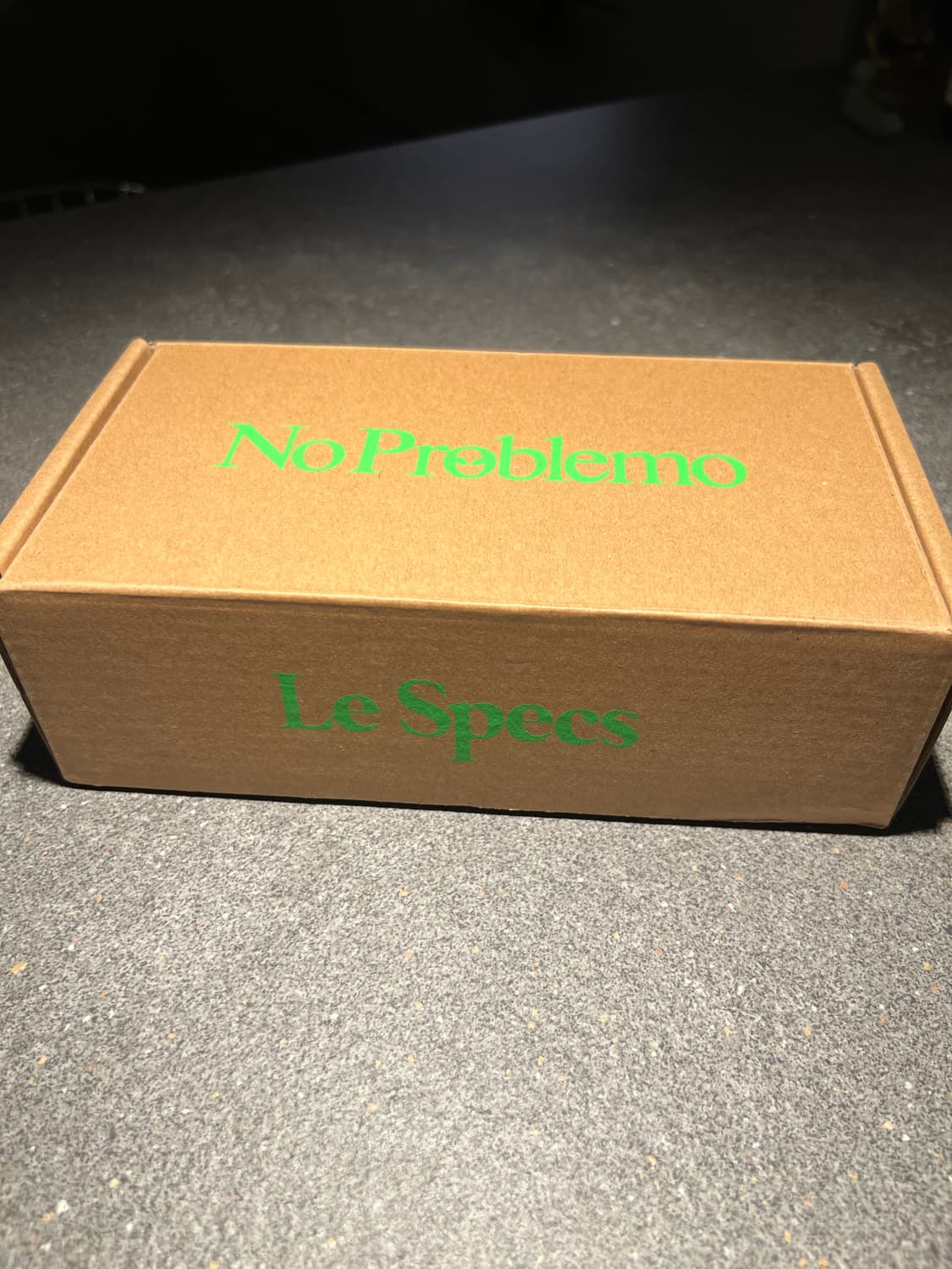 Aries - No Problemo x Le Specs 플루토 선글라스 상품이미지3