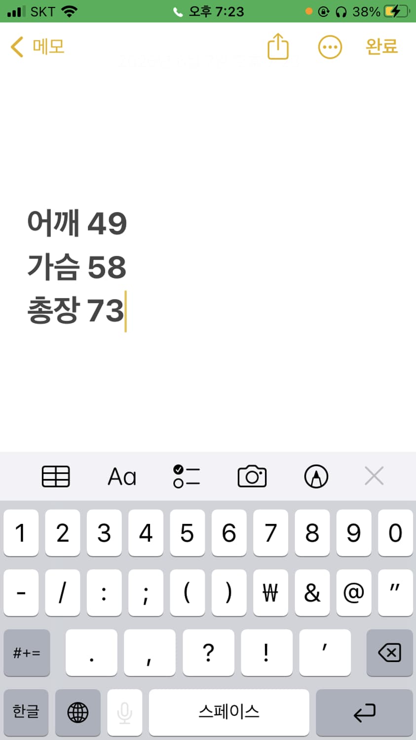 폴로 랄프로렌 카라 반팔티셔츠  상품이미지6