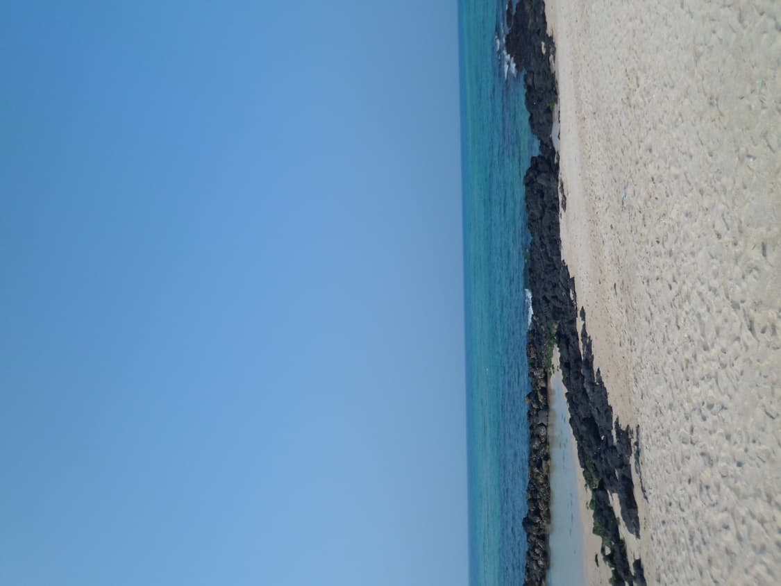 삼성 한효주디카 PL121(작례O) 상품이미지8