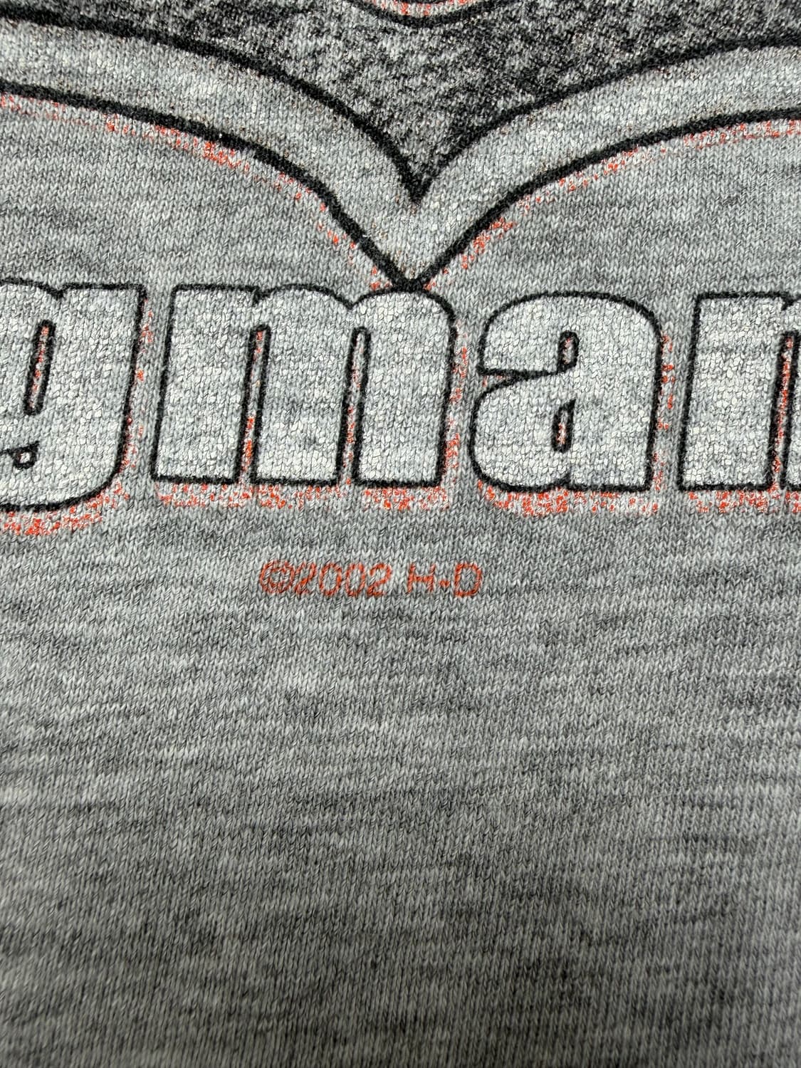 00s Harley Davidson Tee (grey) 상품이미지8