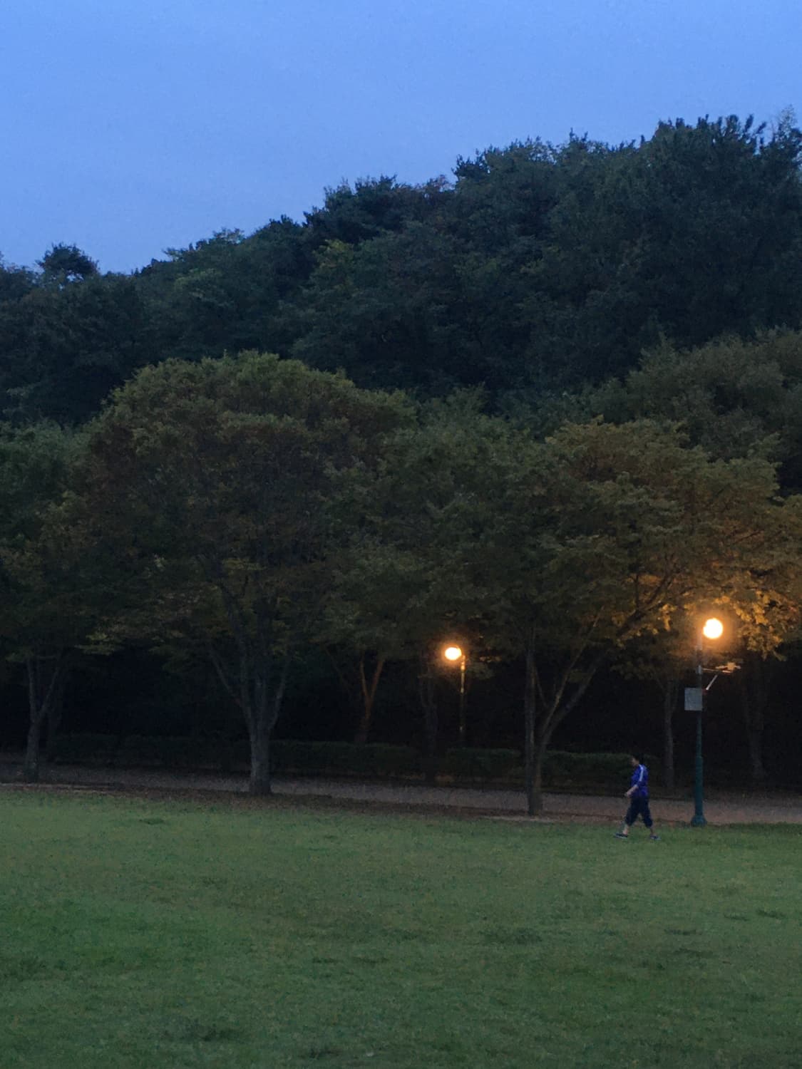 아이폰 se1 32기가  상품이미지10