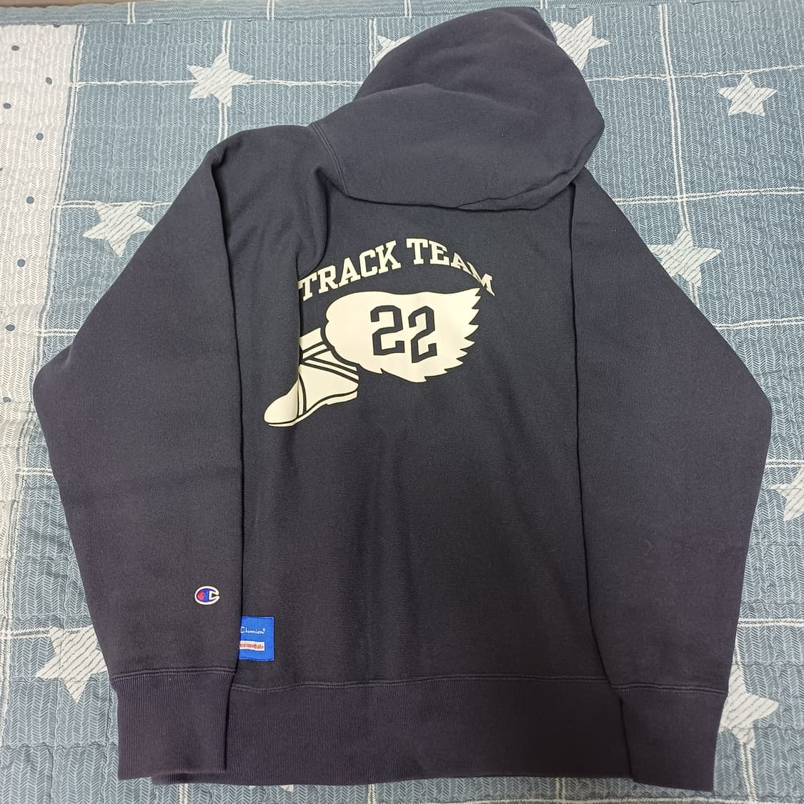 디스이즈네버댓 챔피온 리버스위브 11.5oz 후드티 L 상품이미지4